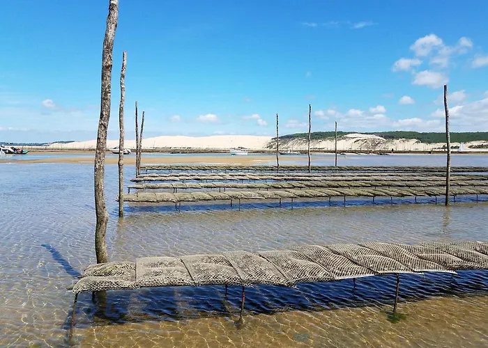 Cosy A L'aiguillon Avec Balcon - Fr-1-474-189 Apartment Arcachon